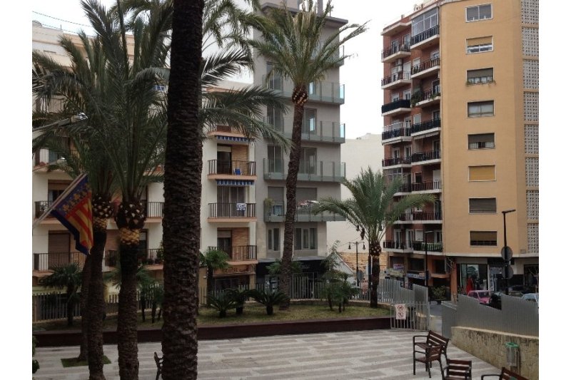 Poda de 1.000 palmeras  Poda de 1.000 palmeras