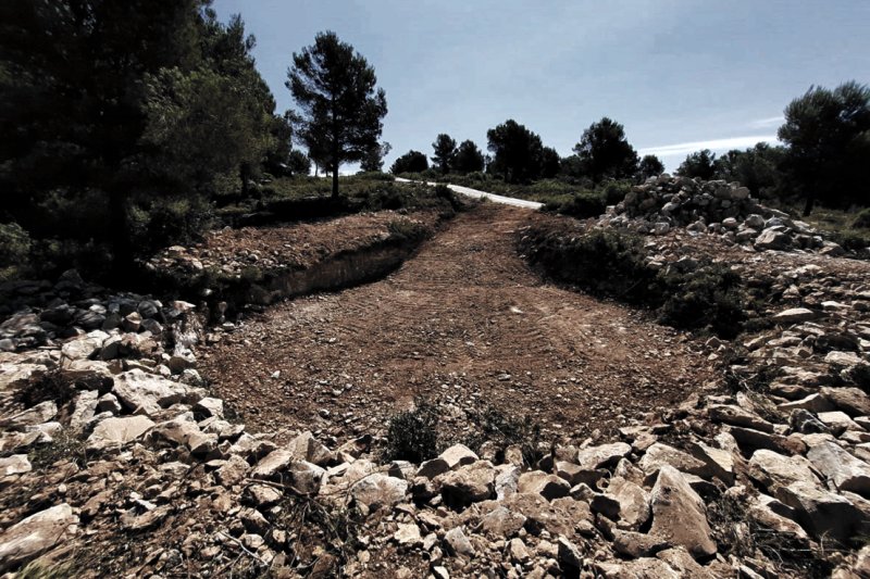 ABAI: vigilantes forestales y mucho más ABAI: vigilantes forestales y mucho más