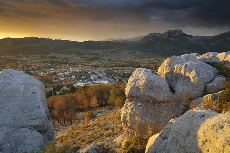 Entrega de los premios del Concurso Fotográfico Alcalalí en Flor Entrega de los premios del Concurso Fotográfico Alcalalí en Flor