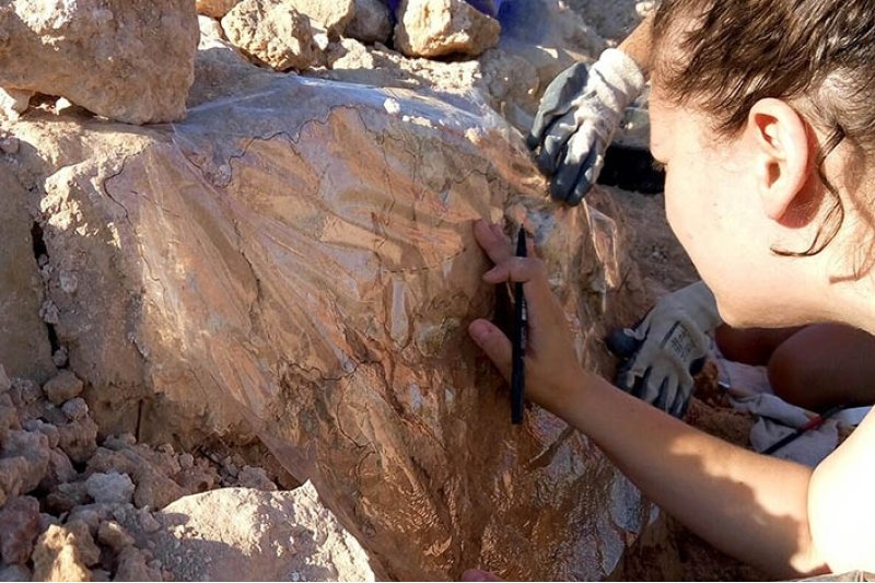 Hallan dos grafitos de gran valor en la Pobla de Ifach Hallan dos grafitos de gran valor en la Pobla de Ifach
