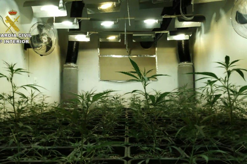 La Guardia Civil desarticula tres cultivos indoor en viviendas de Parcent y Llíber  La Guardia Civil desarticula tres cultivos indoor en viviendas de Parcent y Llíber