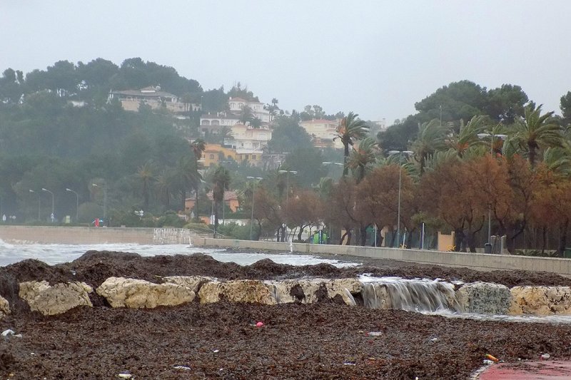 El temporal deja tras de si derribos y destrozos El temporal deja tras de si derribos y destrozos