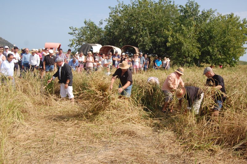 Soler es compromet a agilitzar l’habilitació del centre de recepció de visitants de la marjal  Soler es compromet a agilitzar l’habilitació del centre de recepció de visitants de la marjal