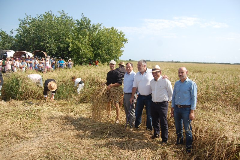 Soler es compromet a agilitzar l’habilitació del centre de recepció de visitants de la marjal  Soler es compromet a agilitzar l’habilitació del centre de recepció de visitants de la marjal