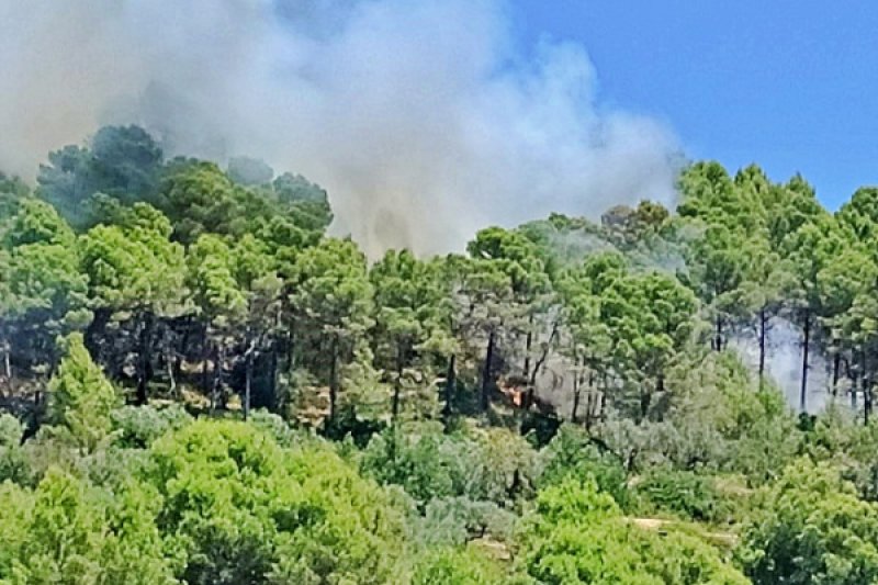 El incendio de Vall de Laguar está estabilizado El incendio de Vall de Laguar está estabilizado