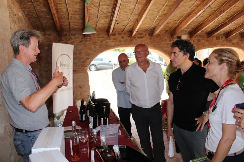 Vinos con alma mediterránea y mucho que contar  Vinos con alma mediterránea y mucho que contar