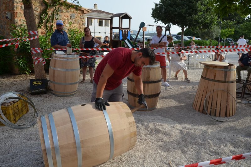 Vinos con alma mediterránea y mucho que contar  Vinos con alma mediterránea y mucho que contar