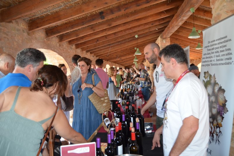 Vinos con alma mediterránea y mucho que contar  Vinos con alma mediterránea y mucho que contar