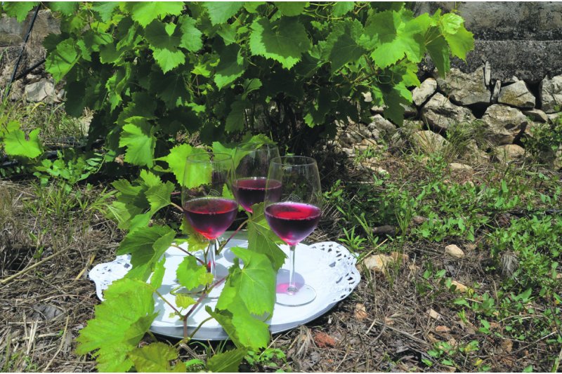 El rosado también existe El rosado también existe