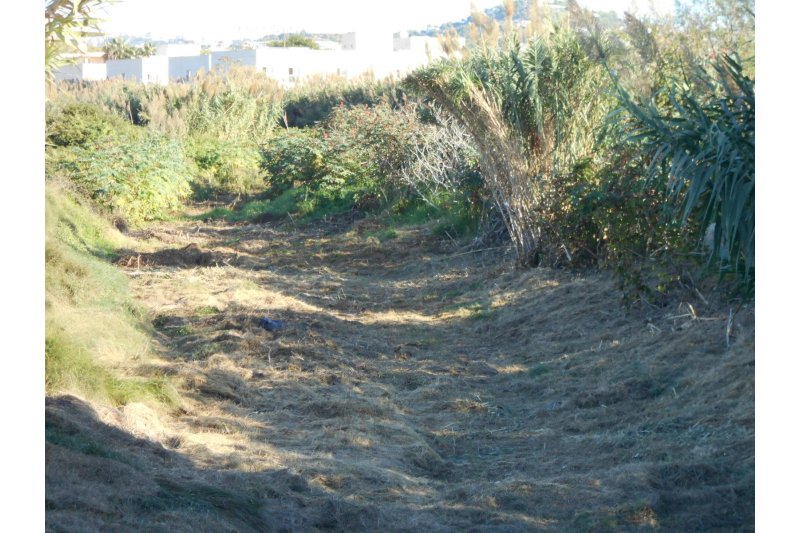 El Ayuntamiento de Calp pide a la CHJ para que  limpie  y desbroce los cauces y barrancos del municipio El Ayuntamiento de Calp pide a la CHJ para que  limpie  y desbroce los cauces y barrancos del municipio