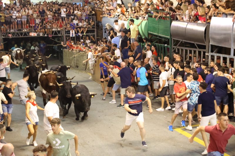 Marina Mulet i Jaime Monfort fan vibrar la Plaça Major amb un pregó que repassa els tòpics de les Festes de Pedreguer Marina Mulet i Jaime Monfort fan vibrar la Plaça Major amb un pregó que repassa els tòpics de les Festes de Pedreguer