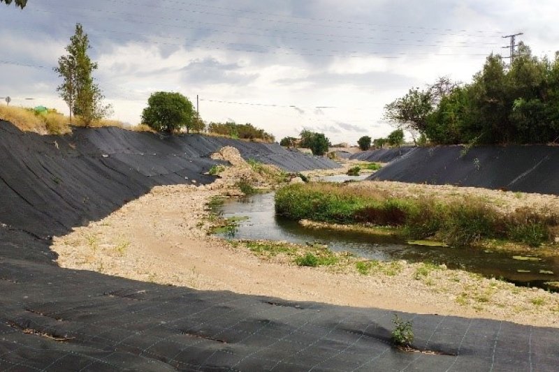 La CHJ afronta la última fase de los trabajos para erradicar la caña invasora en el Girona  La CHJ afronta la última fase de los trabajos para erradicar la caña invasora en el Girona