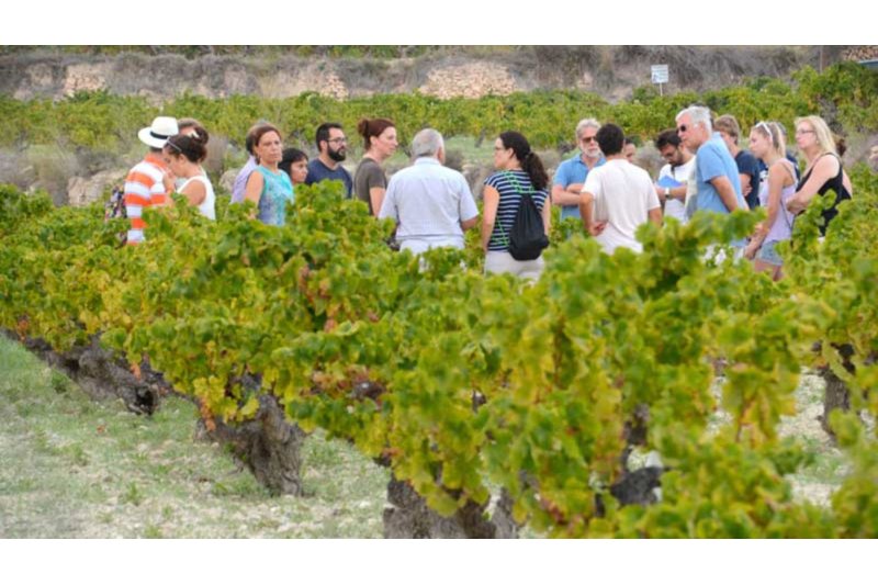 La Fiesta del Moscatel de Benitatxell reivindica las estisoradores y el pisado de la uva La Fiesta del Moscatel de Benitatxell reivindica las estisoradores y el pisado de la uva