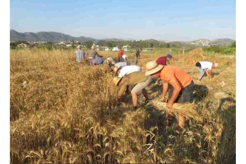 Agentes económicos, sociales y políticos aprueban el Plan de Sostenibilidad Turística de Dénia Agentes económicos, sociales y políticos aprueban el Plan de Sostenibilidad Turística de Dénia