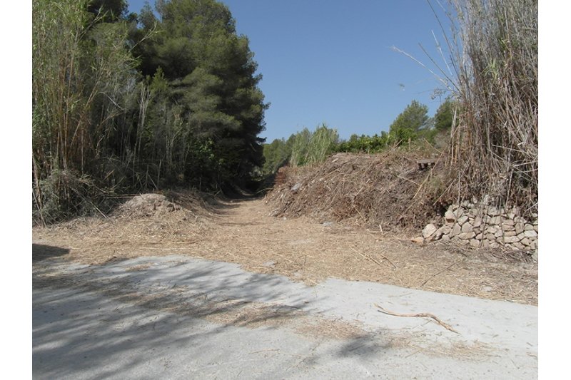 Tareas de limpieza en los barrancos de Teulada Tareas de limpieza en los barrancos de Teulada
