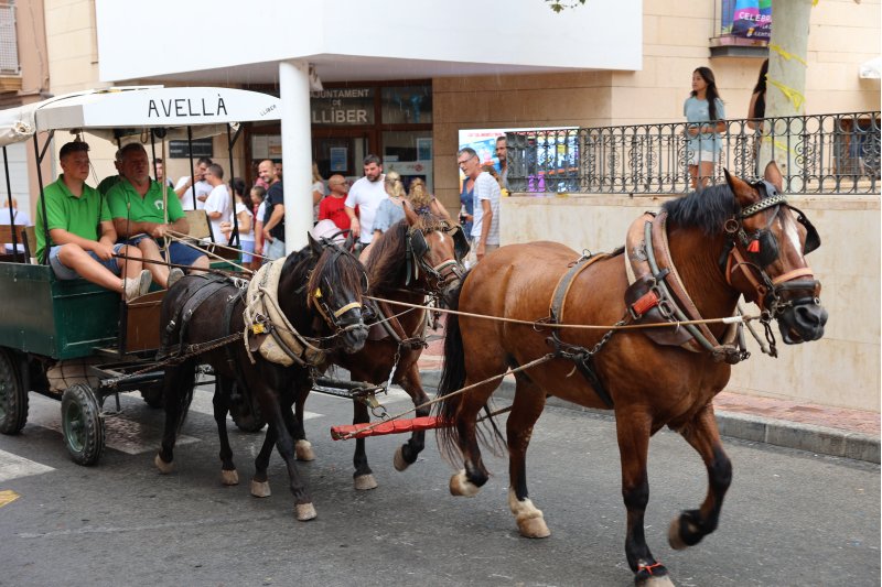 GALERIA de FOTOS de l’ENTRADA de la MURTA i PROGRAMA de FESTES de LLÍBER GALERIA de FOTOS de l’ENTRADA de la MURTA i PROGRAMA de FESTES de LLÍBER