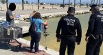 Un vertido en el colector de pluviales tiñe las aguas del puerto de Dénia de color marrón  Un vertido en el colector de pluviales tiñe las aguas del puerto de Dénia de color marrón