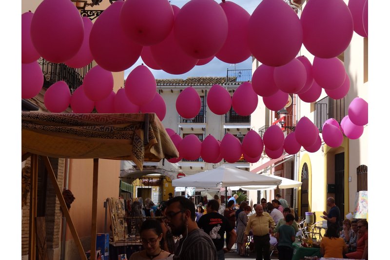 La jornada rosa d’Alcalalí recapta 600 euros per a la lluita contra el càncer La jornada rosa d’Alcalalí recapta 600 euros per a la lluita contra el càncer