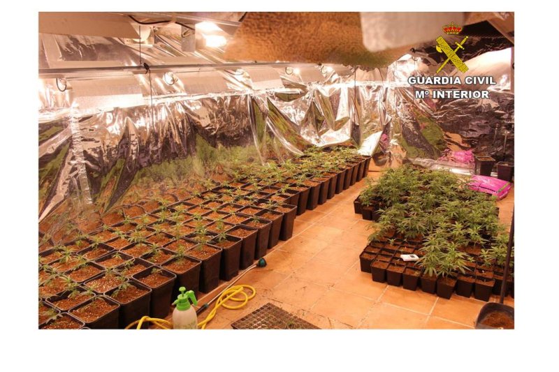 La Guardia Civil desmantela una plantación de marihuana en Xàbia La Guardia Civil desmantela una plantación de marihuana en Xàbia