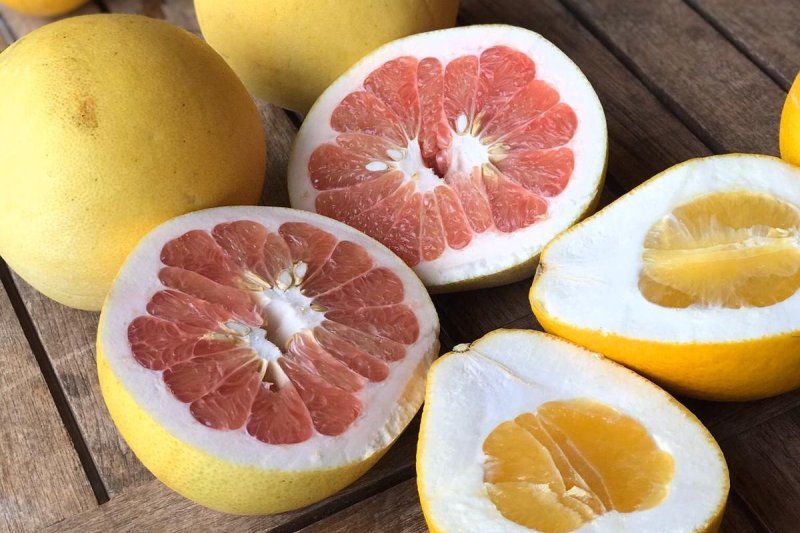 Es tiempo de erizos y naranjas en Els Magazinos Es tiempo de erizos y naranjas en Els Magazinos