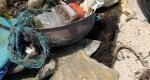 Retiran 70 kilos de basura y restos arqueológicos en la campaña de limpieza del litoral de Dénia  Retiran 70 kilos de basura y restos arqueológicos en la campaña de limpieza del litoral de Dénia