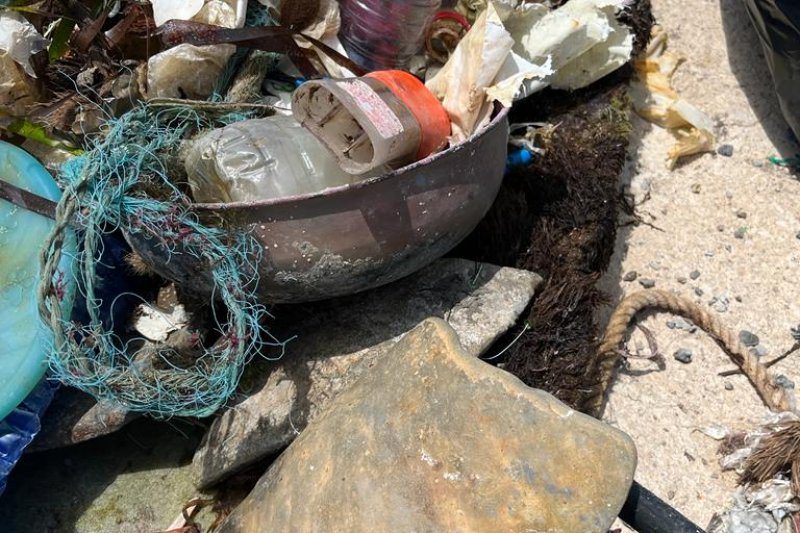 Retiran 70 kilos de basura y restos arqueológicos en la campaña de limpieza del litoral de Dénia  Retiran 70 kilos de basura y restos arqueológicos en la campaña de limpieza del litoral de Dénia