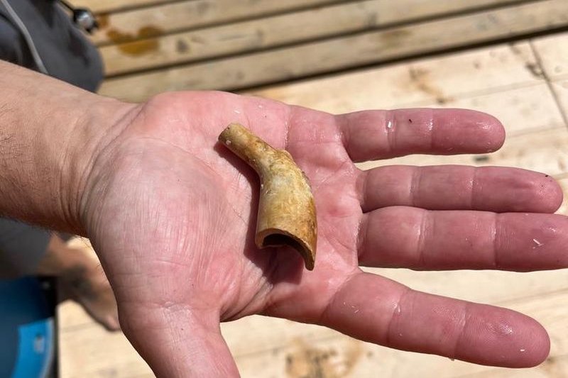 Retiran 70 kilos de basura y restos arqueológicos en la campaña de limpieza del litoral de Dénia  Retiran 70 kilos de basura y restos arqueológicos en la campaña de limpieza del litoral de Dénia