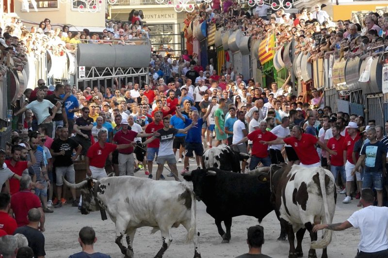La Plaça Major s’ompli de passió pels bous en les Festes de Juliol de Pedreguer La Plaça Major s’ompli de passió pels bous en les Festes de Juliol de Pedreguer