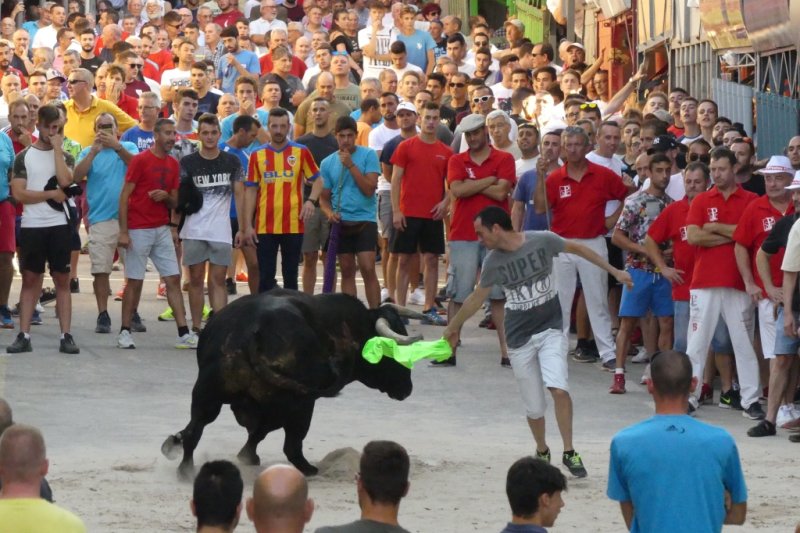 La Plaça Major s’ompli de passió pels bous en les Festes de Juliol de Pedreguer La Plaça Major s’ompli de passió pels bous en les Festes de Juliol de Pedreguer
