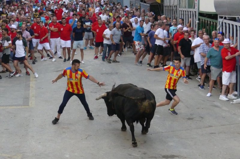 La Plaça Major s’ompli de passió pels bous en les Festes de Juliol de Pedreguer La Plaça Major s’ompli de passió pels bous en les Festes de Juliol de Pedreguer