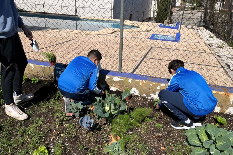 250 escolares  250 escolares