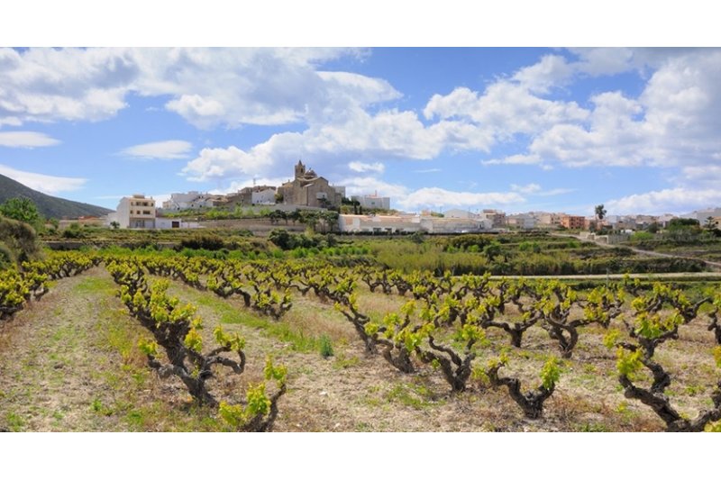 Poble Nou de Benitatxell: L’ampliació del Camí de l’Abiar millorarà la seguretat dels caminants Poble Nou de Benitatxell: L’ampliació del Camí de l’Abiar millorarà la seguretat dels caminants