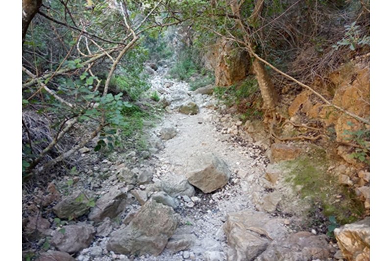 Una senda une las calas Moraig y Testos con el Morro del Roabit de Benitatxell Una senda une las calas Moraig y Testos con el Morro del Roabit de Benitatxell