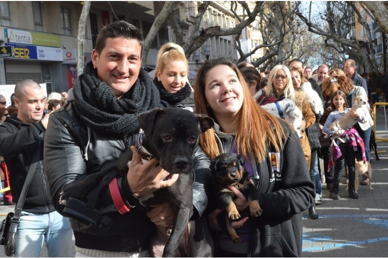 Dénia hará la bendición de animales el domingo 19 de febrero Dénia hará la bendición de animales el domingo 19 de febrero