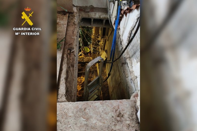 La Guardia Civil desmantela una plantación de marihuana en Pedreguer  La Guardia Civil desmantela una plantación de marihuana en Pedreguer