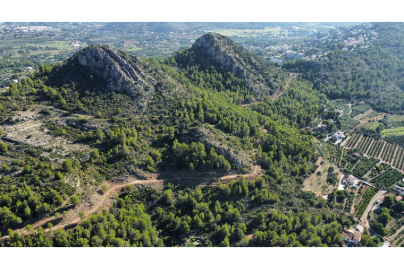 L’Ajuntament de Pedreguer executa una franja tallafocs a la muntanya de La Sella L’Ajuntament de Pedreguer executa una franja tallafocs a la muntanya de La Sella