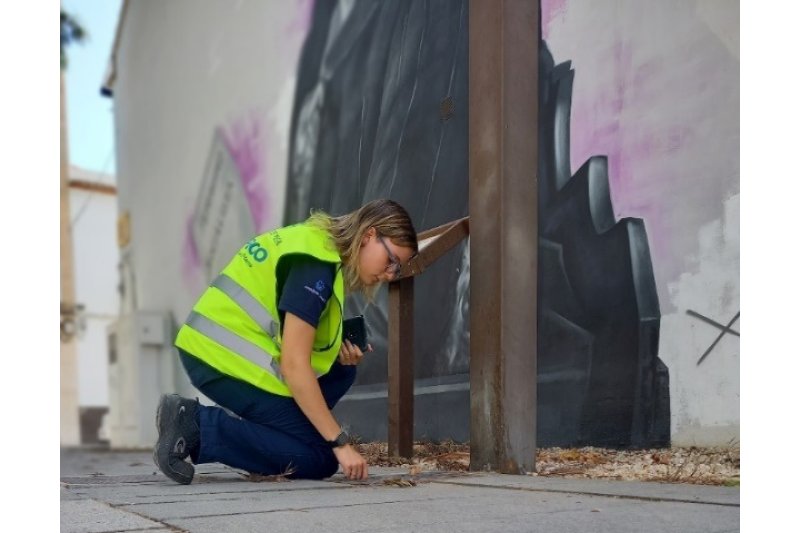 L’Ajuntament de Pego reforça el pla de prevenció i control de la processionària del pi i el mosquit L’Ajuntament de Pego reforça el pla de prevenció i control de la processionària del pi i el mosquit