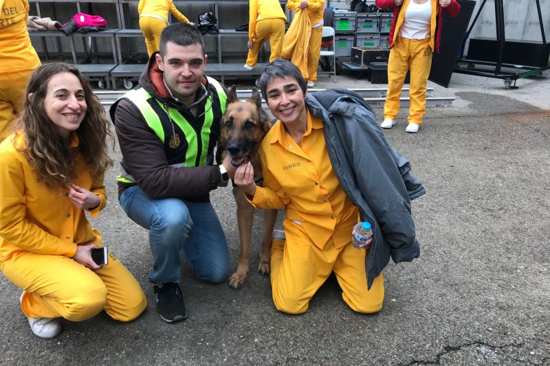 Dos perros de película que causan admiración  Dos perros de película que causan admiración