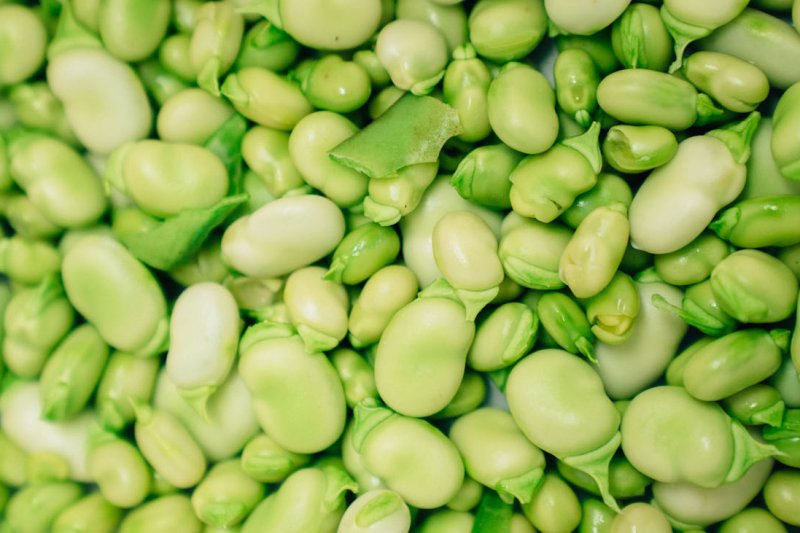 Vuelve la Cuina de Territori a Els Magazinos Vuelve la Cuina de Territori a Els Magazinos