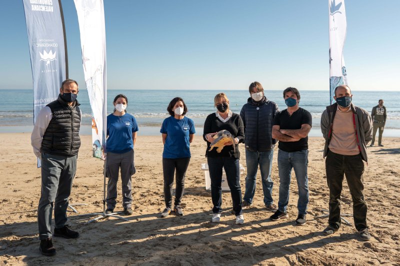 Una tortuga regresa al mar en la playa de La Fossa de Calp Una tortuga regresa al mar en la playa de La Fossa de Calp