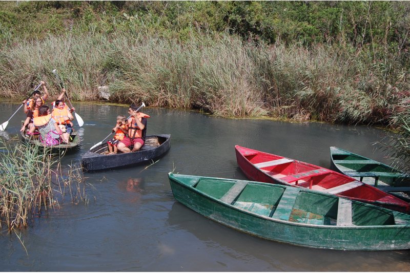 La Regidoria de Transició Ecològica de Pego denuncia la discriminació de la Marjal respecte a altres parcs en matèria de personal La Regidoria de Transició Ecològica de Pego denuncia la discriminació de la Marjal respecte a altres parcs en matèria de personal