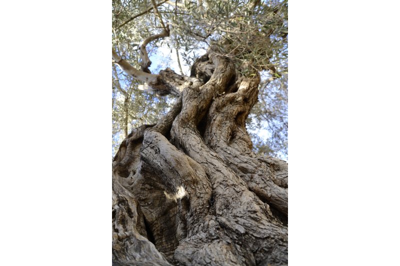 Turismo propone dos rutas para esta Semana Santa en Xàbia Turismo propone dos rutas para esta Semana Santa en Xàbia