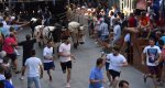 Quatre entrades i quatre bous serrils en el dia dedicat als bous al carrer de les Festes de Juliol de Pedreguer Quatre entrades i quatre bous serrils en el dia dedicat als bous al carrer de les Festes de Juliol de Pedreguer