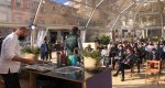 Tradición y creatividad en el d*na restaurant festival Tradición y creatividad en el d*na restaurant festival