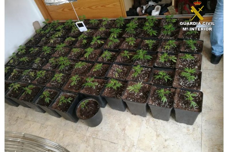 La Guardia Civil desmantela dos puntos de venta de marihuana en Pego y se incauta de 17 kg La Guardia Civil desmantela dos puntos de venta de marihuana en Pego y se incauta de 17 kg