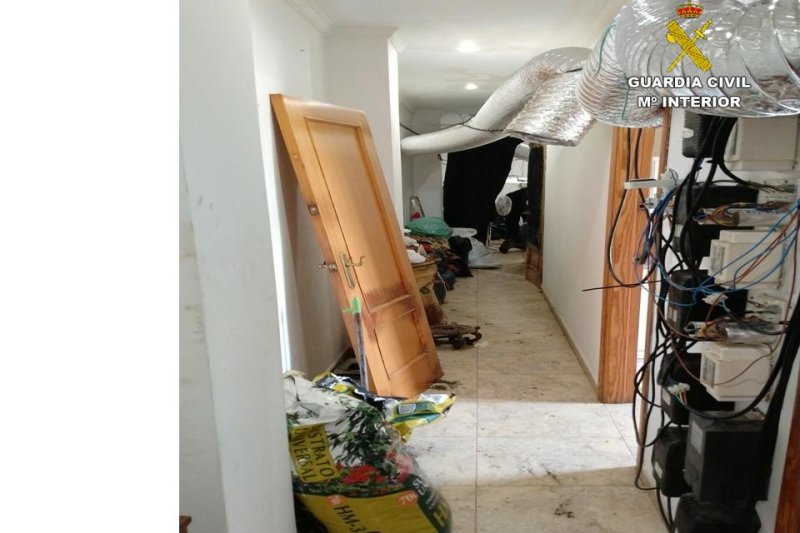 La Guardia Civil desmantela dos puntos de venta de marihuana en Pego y se incauta de 17 kg La Guardia Civil desmantela dos puntos de venta de marihuana en Pego y se incauta de 17 kg