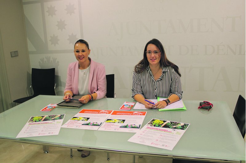 El Ayuntamiento de Dénia pide la colaboración ciudadana para controlar las plagas El Ayuntamiento de Dénia pide la colaboración ciudadana para controlar las plagas