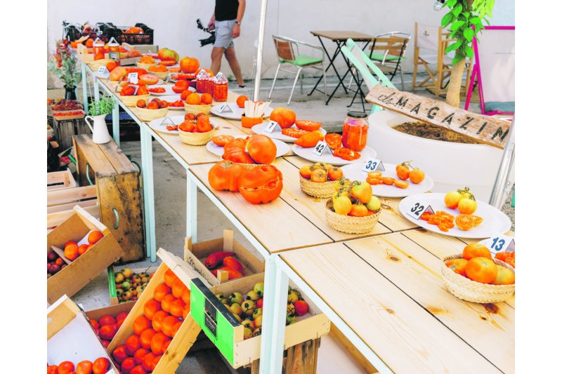 Descubrir la millor tomaca, en Els Magazinos Descubrir la millor tomaca, en Els Magazinos