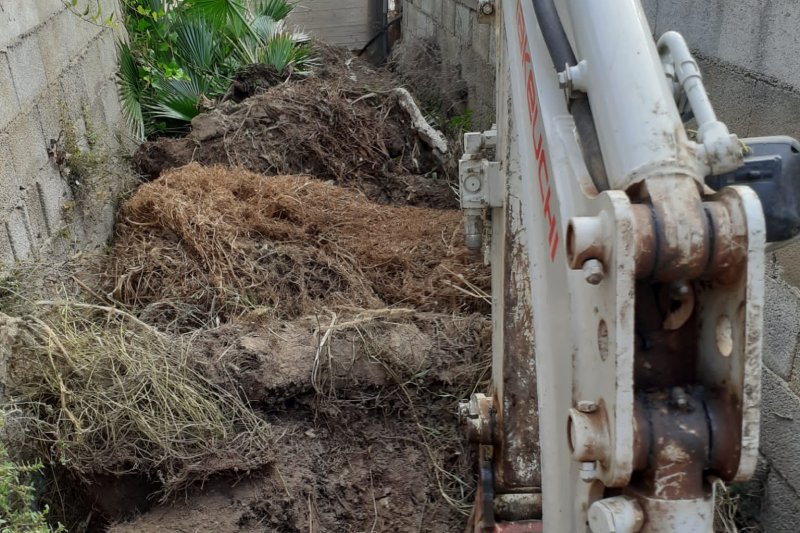 Ondara limpia y mejora el barranco del Poll Ondara limpia y mejora el barranco del Poll