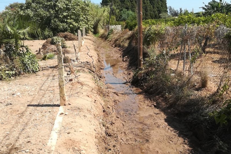 Ondara limpia y mejora el barranco del Poll Ondara limpia y mejora el barranco del Poll